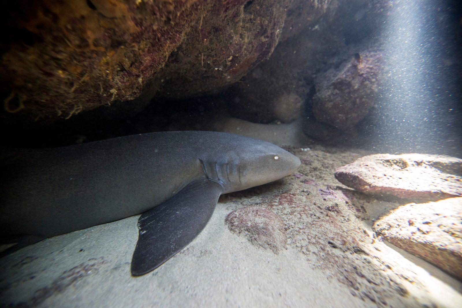 Rocky coastal pool beneath a large overhanging cliff
