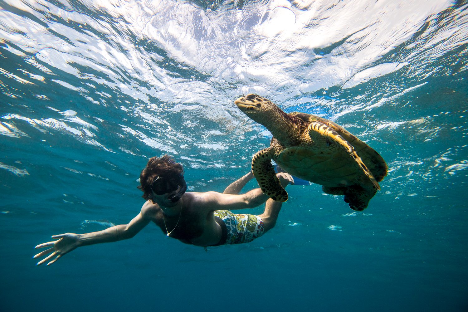 Snorkeler swimming alongside a sea turtle